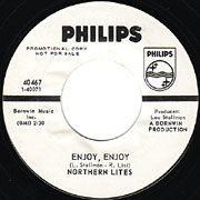 NORTHERN LITES / Enjoy, Enjoy / It's A Very Funny Feelin'